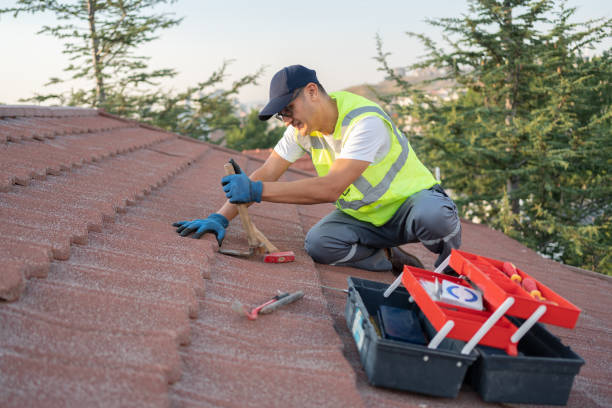 Best Roof Gutter Cleaning  in Towamensing Trails, PA